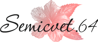 «Semicvet 64» - интернет-магазин цветов в Энгельсе